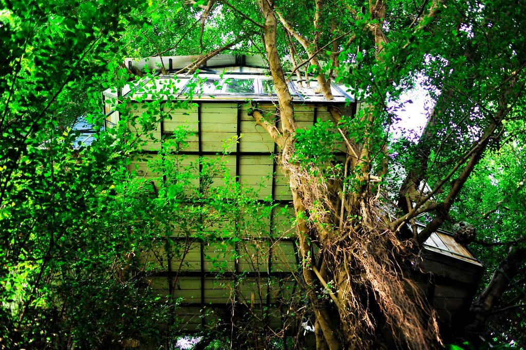 Dao Anh Khanh Tree House Hanói Habitación foto